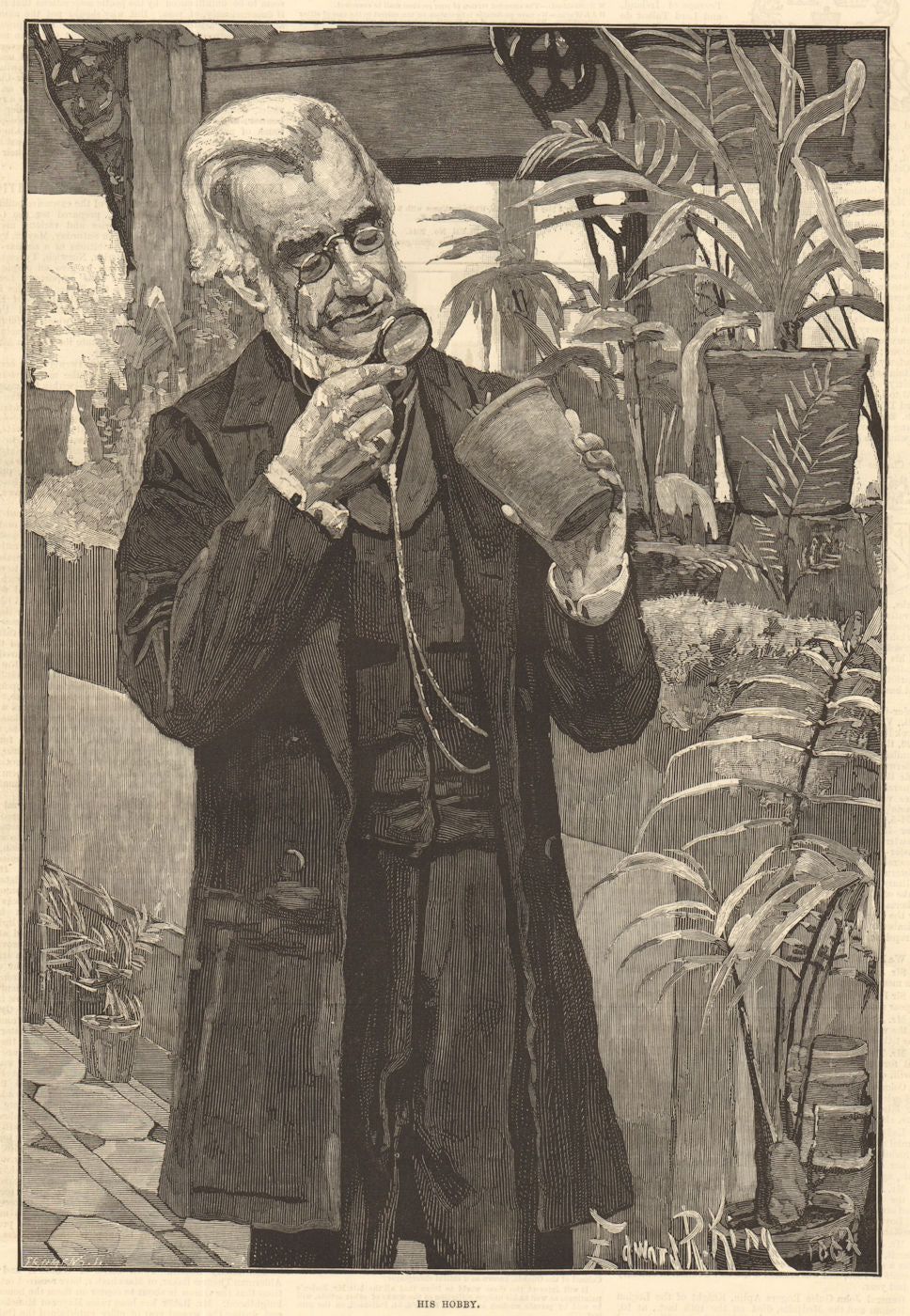 His hobby. Portraits. Plants 1883 old antique vintage print picture